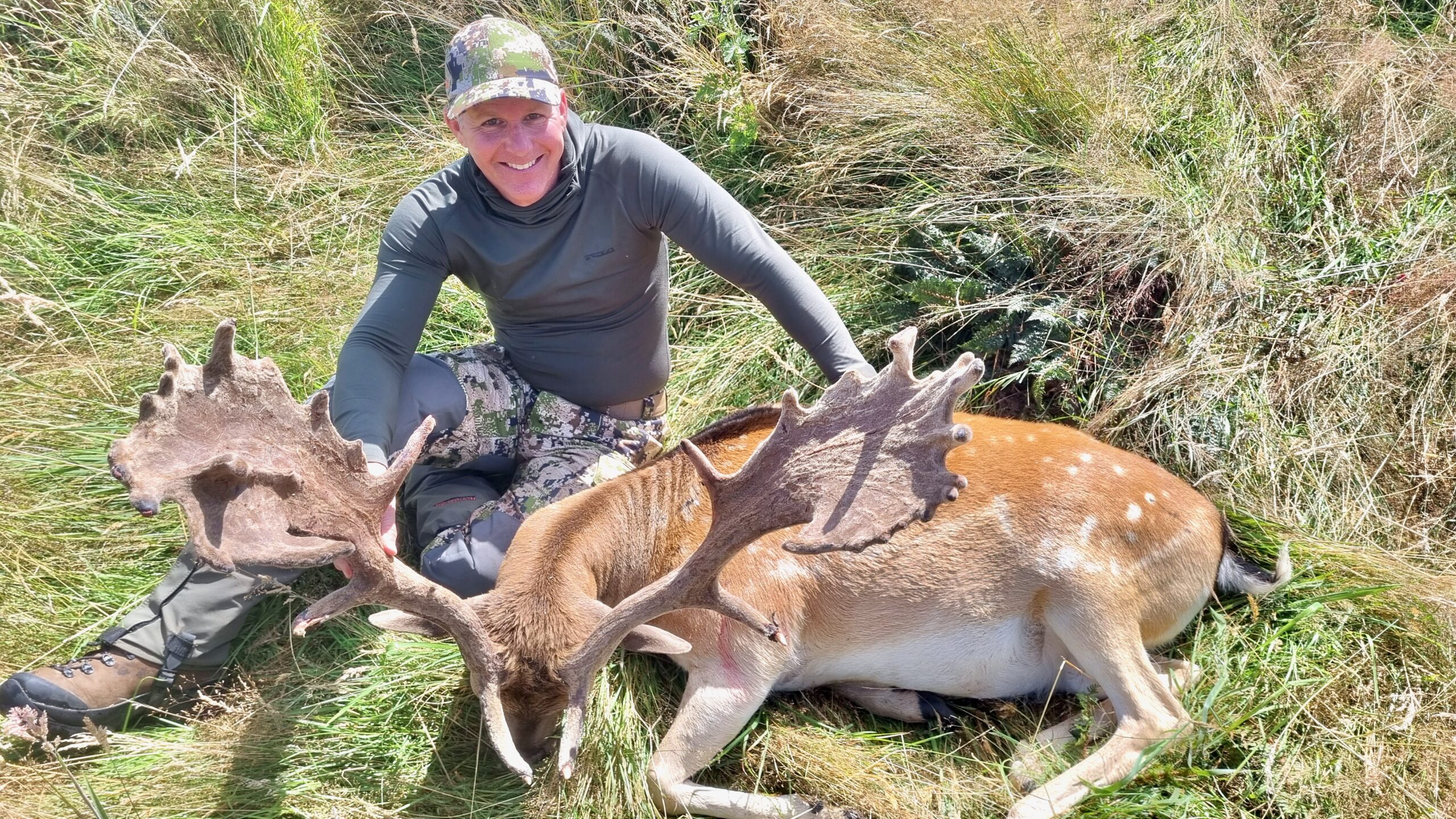 New Zealand fallow buck hunting trophy