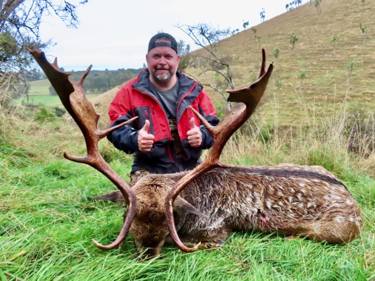 New Zealand fallow buck hunting trophy