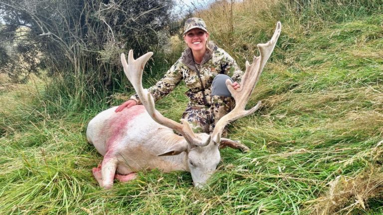 New Zealand fallow buck hunting trophy