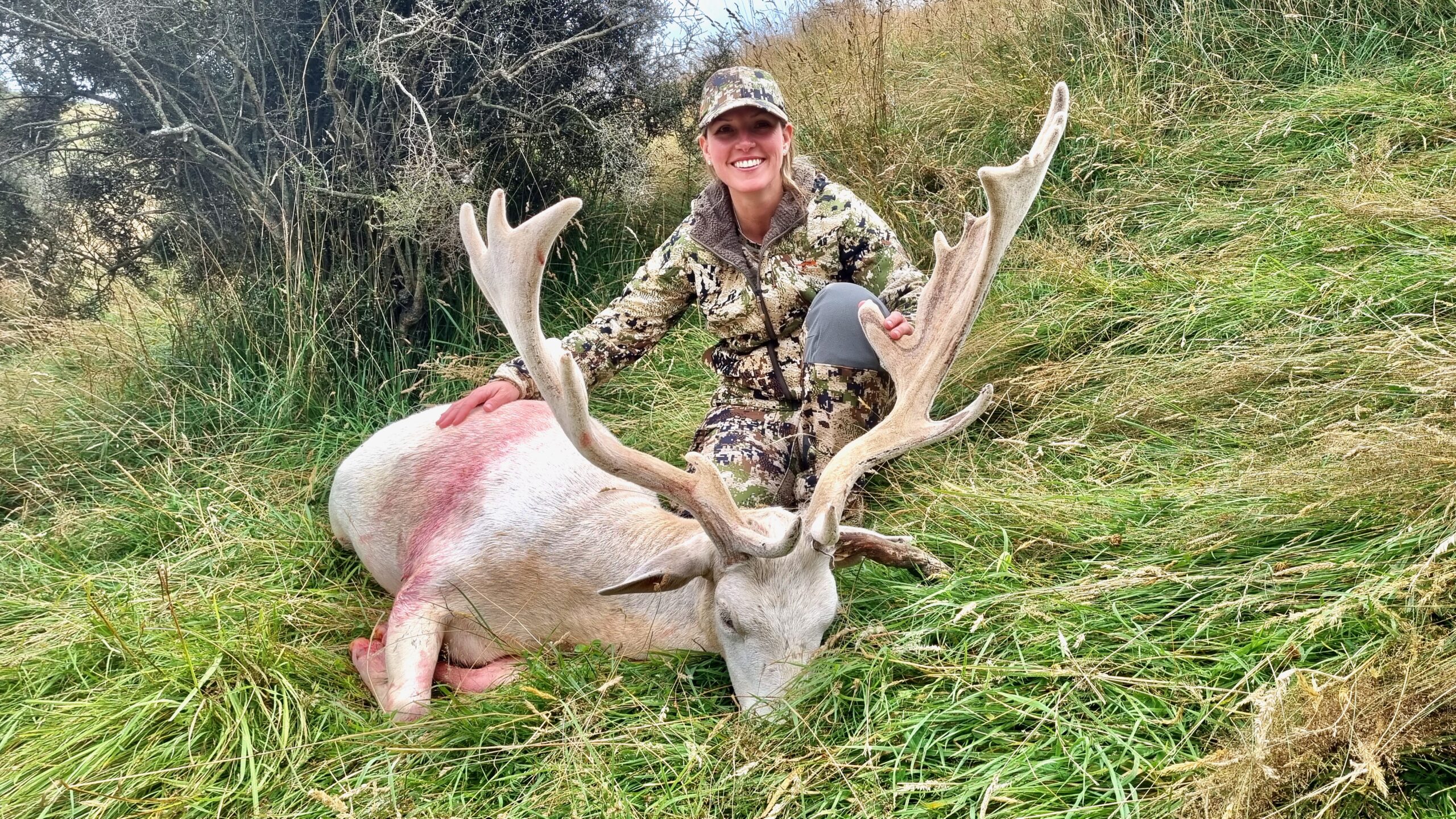 New Zealand fallow buck hunting trophy