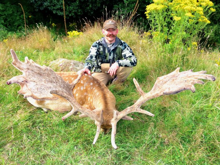 New Zealand fallow buck hunting trophy