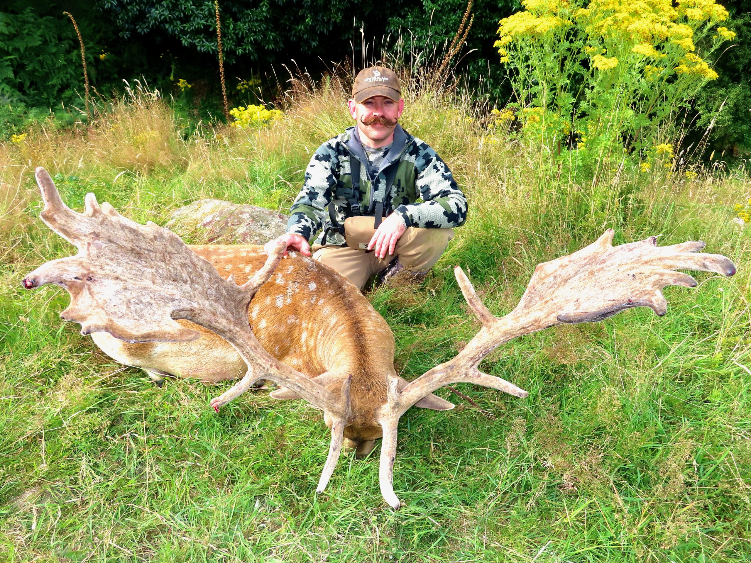 New Zealand fallow buck hunting trophy
