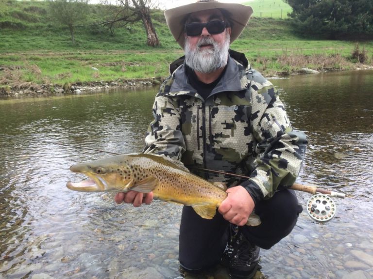 New Zealand fly fishing brown trout
