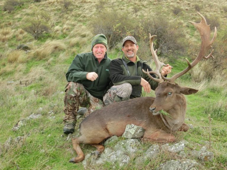 New Zealand free range fallow deer