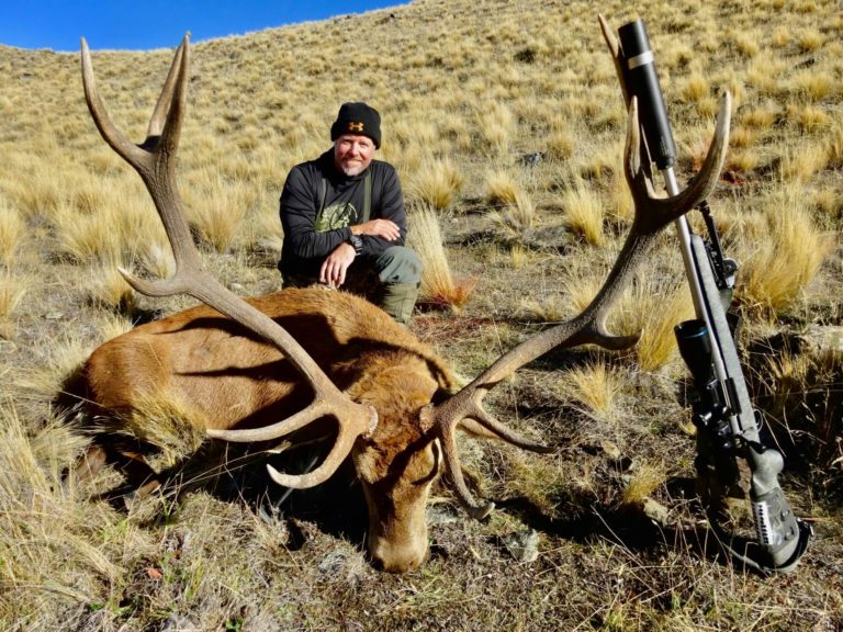 New Zealand free range 6x6 red stag