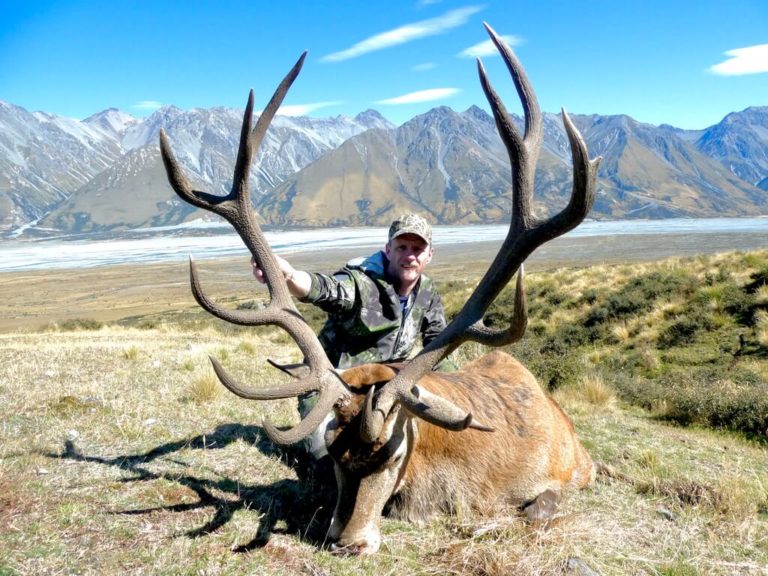 New Zealand free range 6x6 red stag