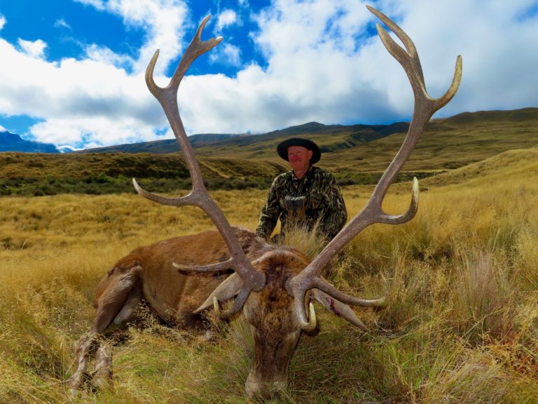 New Zealand free range red stags, 6x6