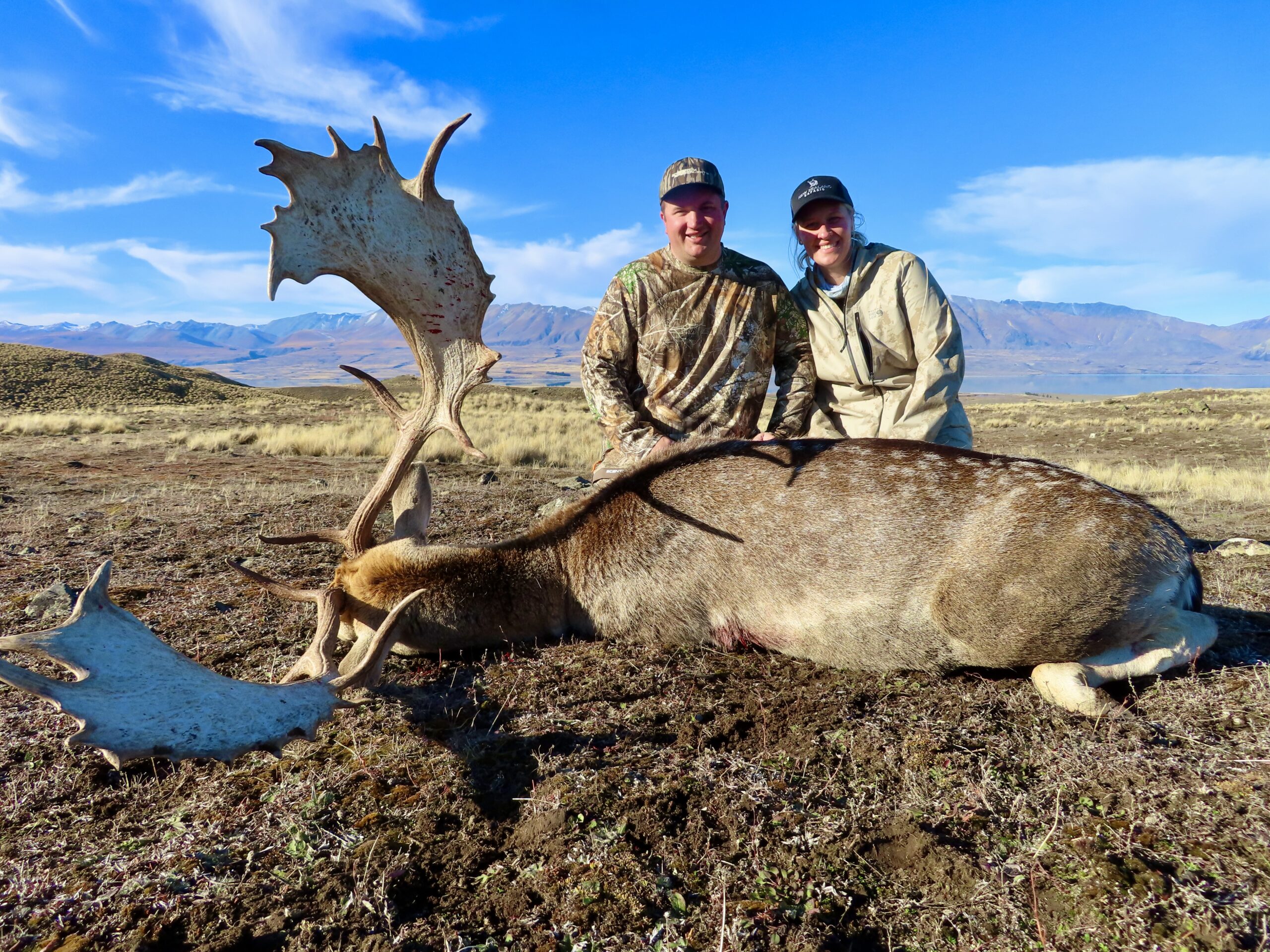 New Zealand giant fallow buck trophy