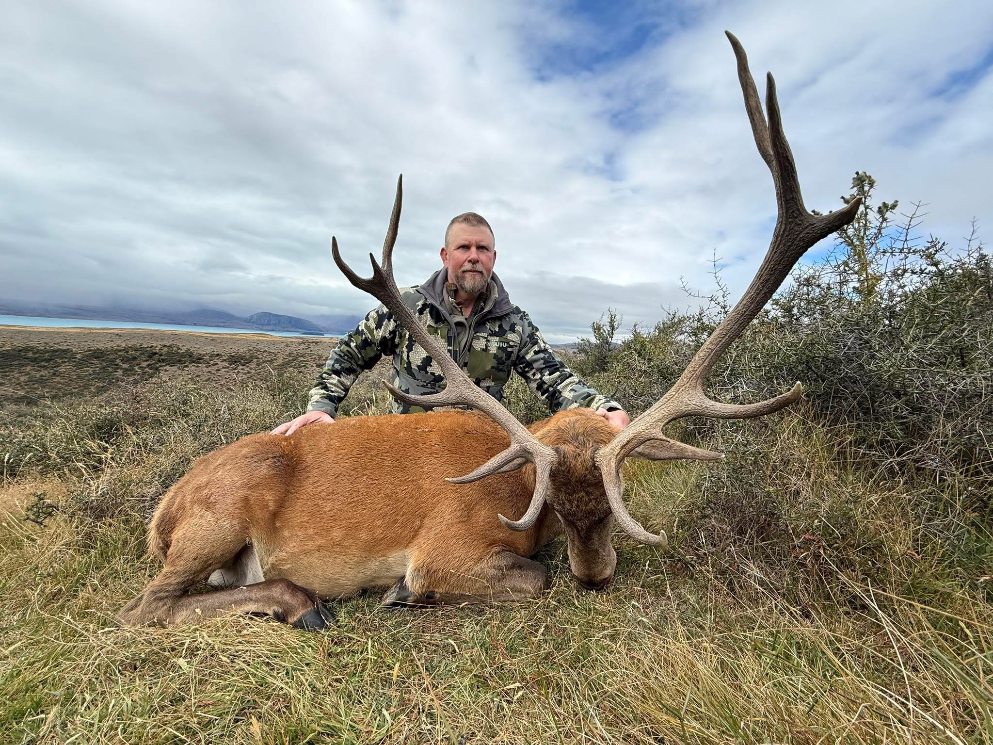 New Zealand red stag hunt