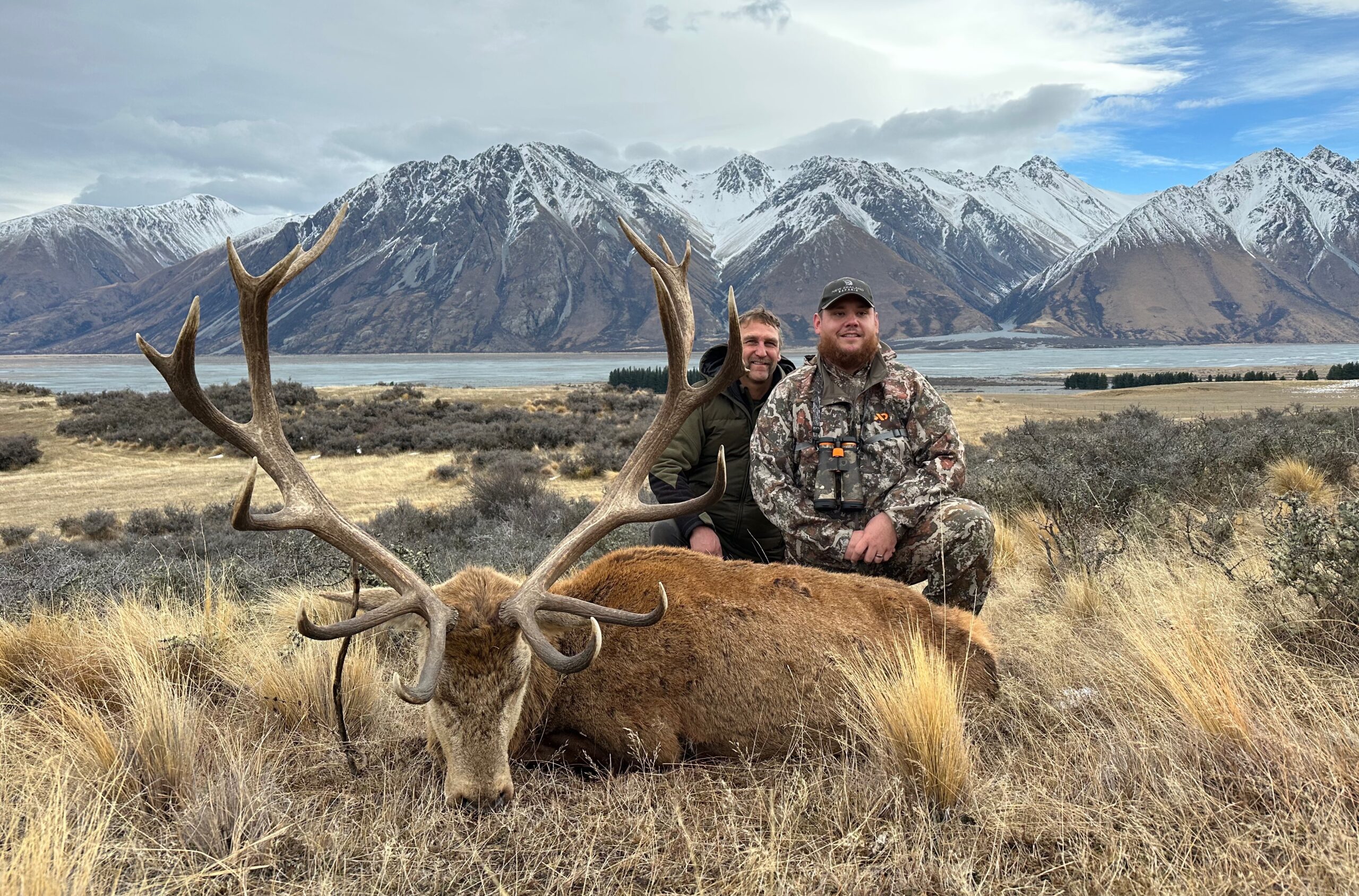 Trophy red stag
