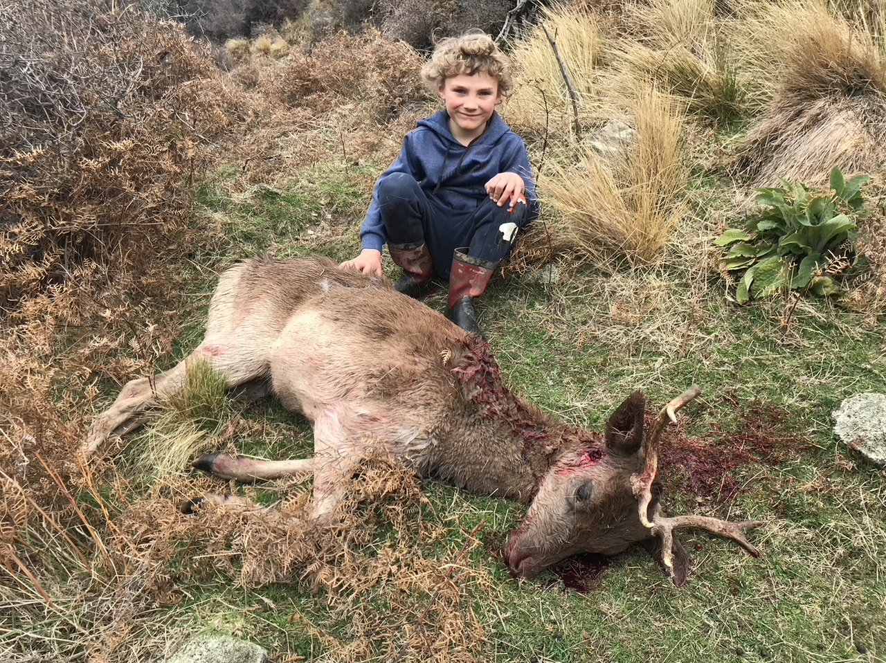 Meat hunting in New Zealand