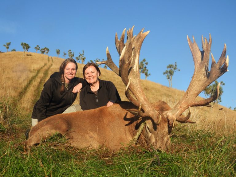 New Zealand Safaris hunting, 2023