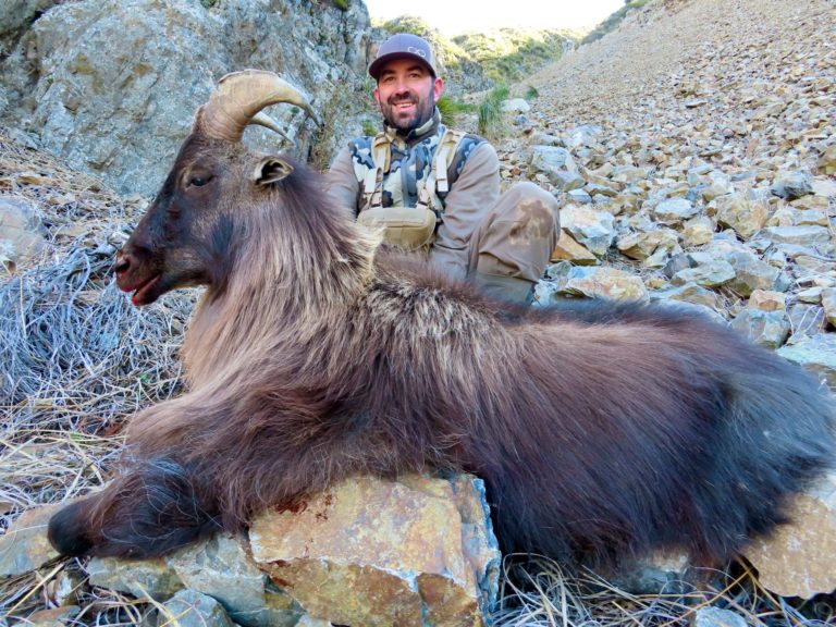 New Zealand Safaris hunting, 2023