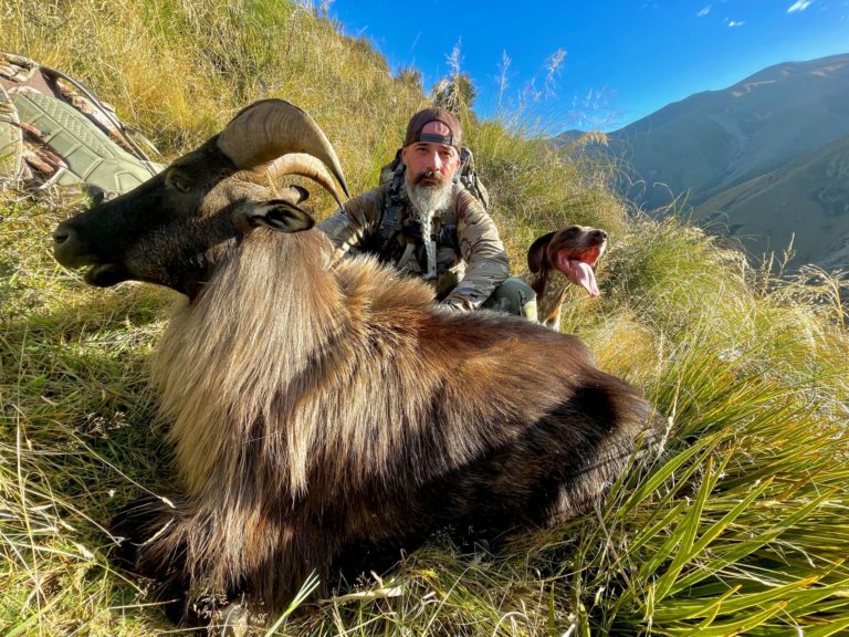 New Zealand Safaris hunting, 2023