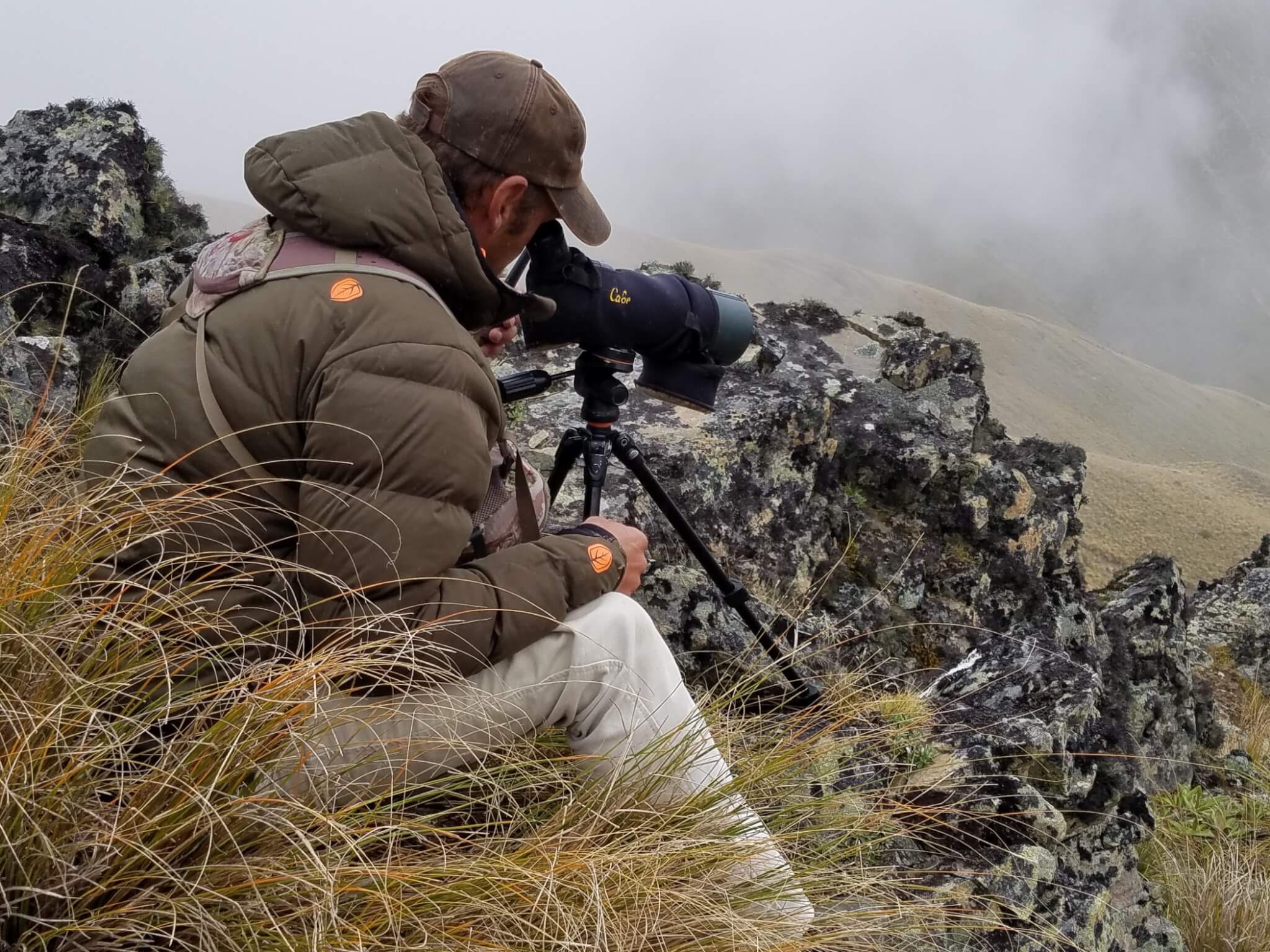 Guide glassing across open hill country
