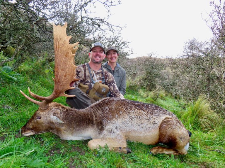 New Zealand Safaris hunting scenery