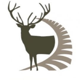 New Zealand Safaris logo