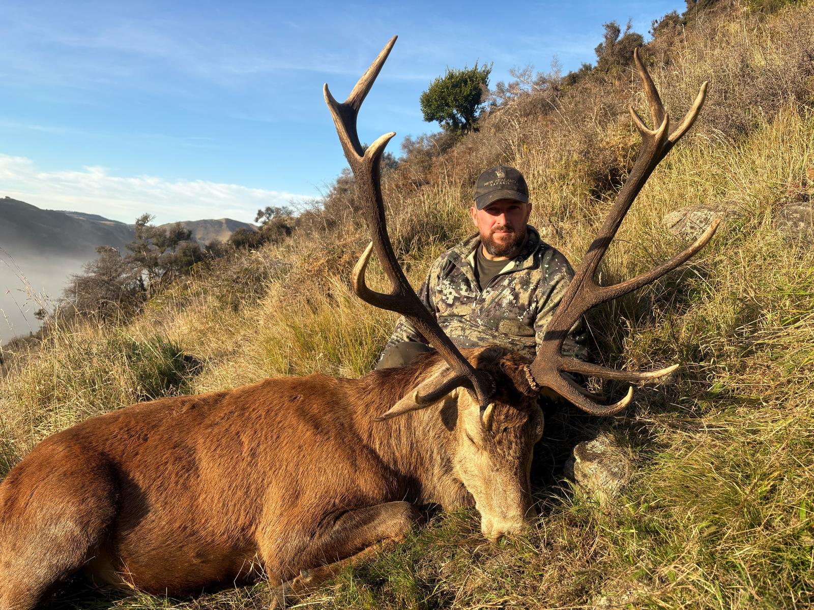 New Zealand red stag trophy