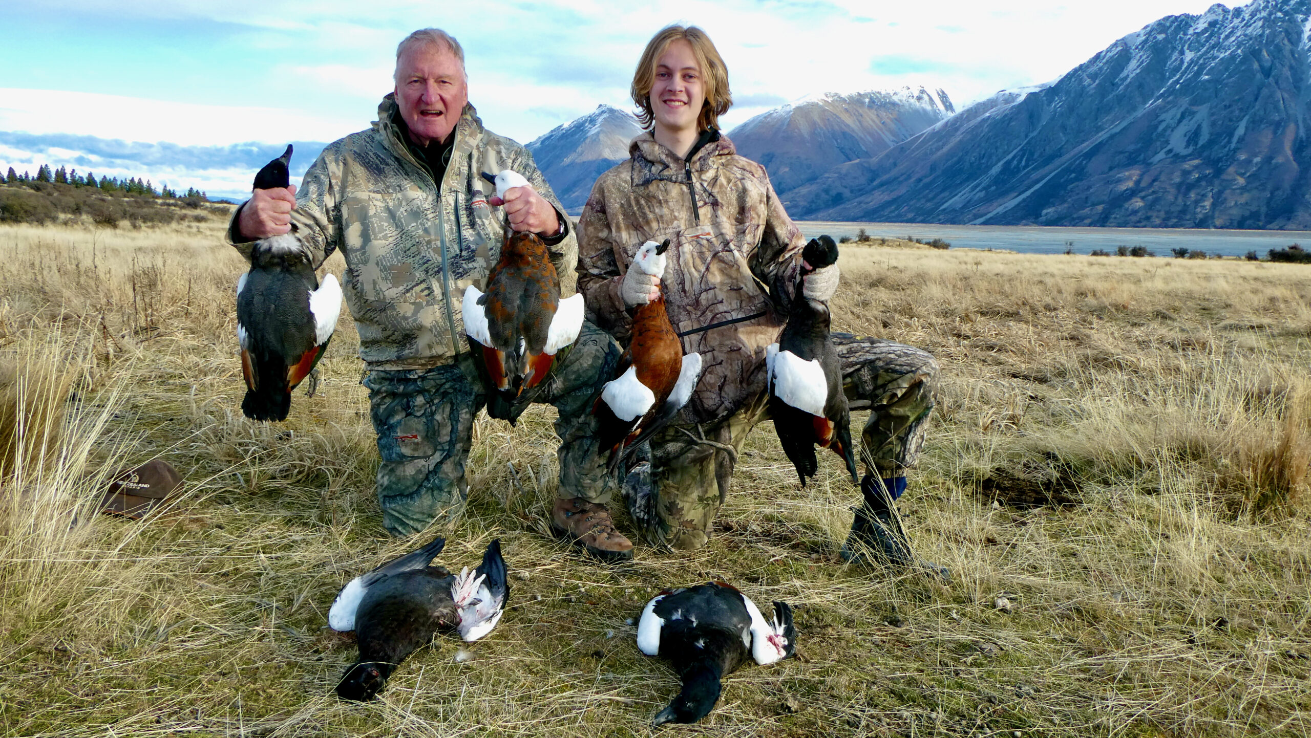 Paradise ducks, wing shooting New Zealand