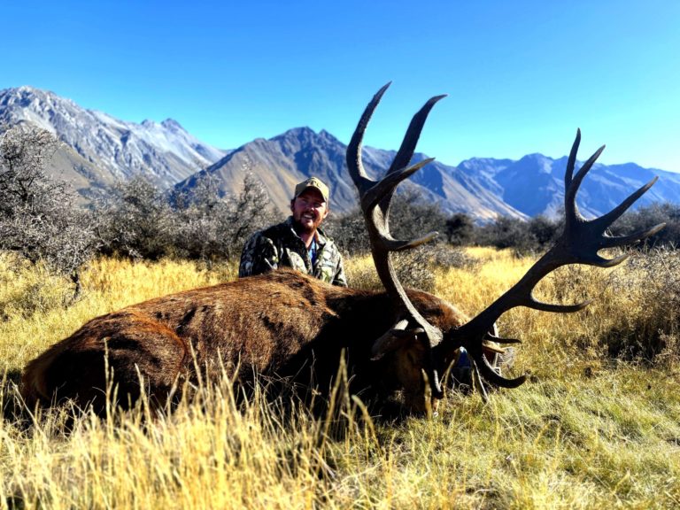 New Zealand red stag hunting trophy, 360 inches