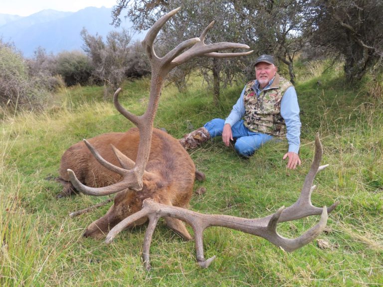 New Zealand red stag hunting trophy, 360 inches