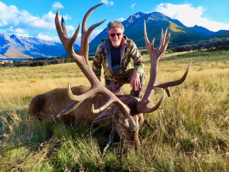 New Zealand red stag hunting trophy, 360 inches