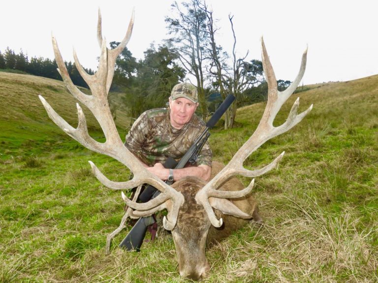 New Zealand red stag hunting trophy, 370 inches