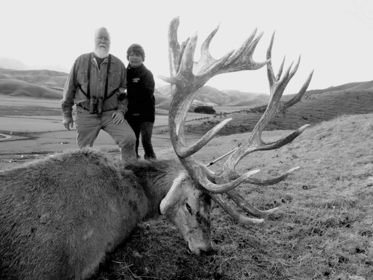 New Zealand red stag hunting trophy, 371 inches