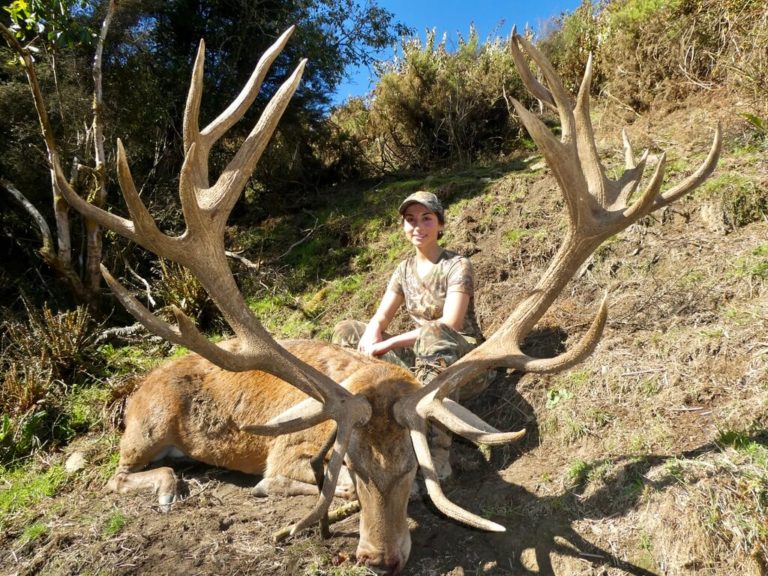 New Zealand red stag hunting trophy, 375 inches