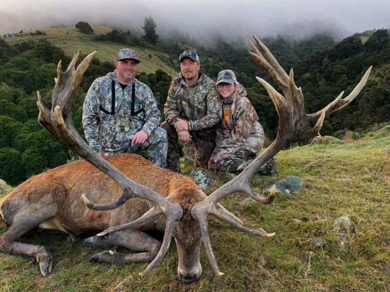 New Zealand red stag hunting trophy, 380 inches