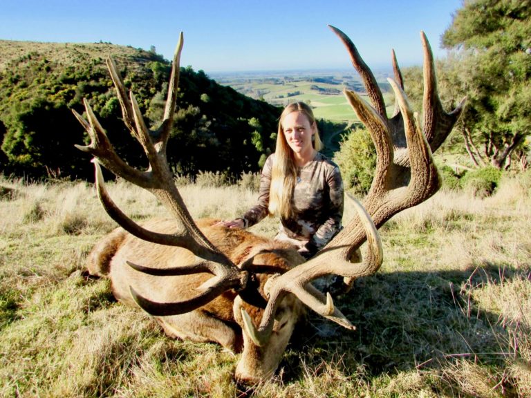 New Zealand red stag hunting trophy, 394 inches
