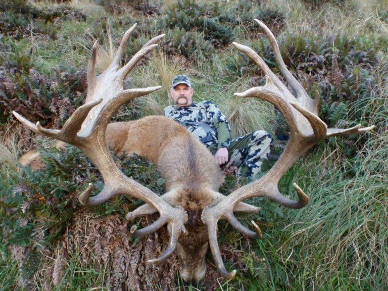 New Zealand red stag hunting trophy, 399 inches
