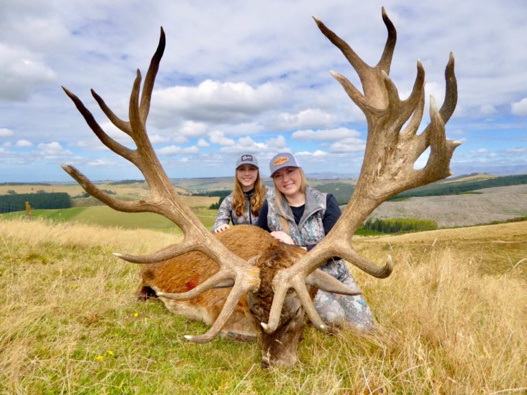 New Zealand red stag hunting trophy, 400 inches