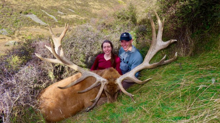New Zealand red stag hunting trophy, 400 inches
