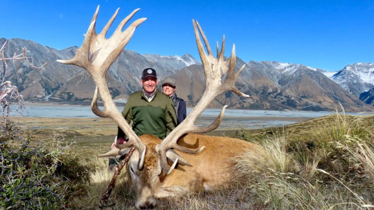 New Zealand red stag hunting trophy, 400 inches
