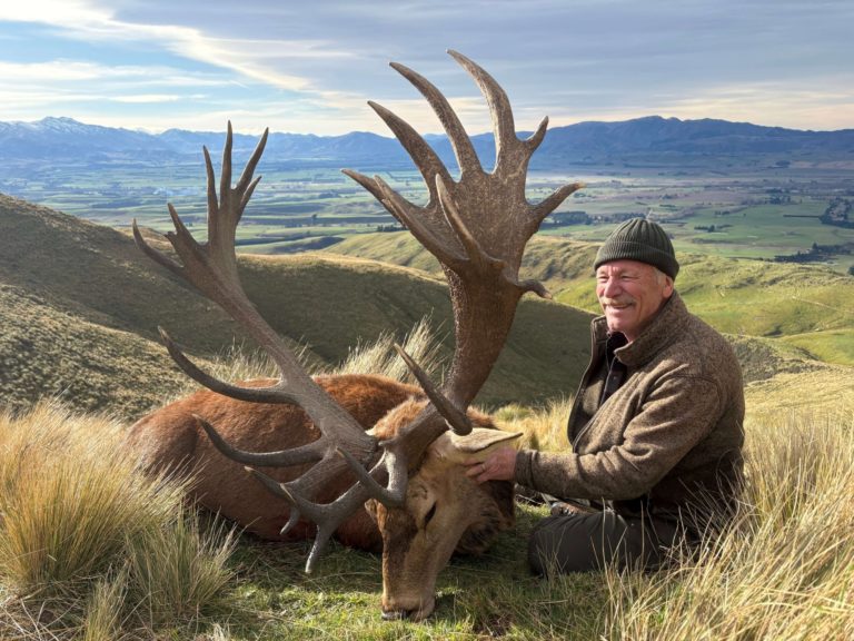 New Zealand red stag hunting trophy, 400 inches