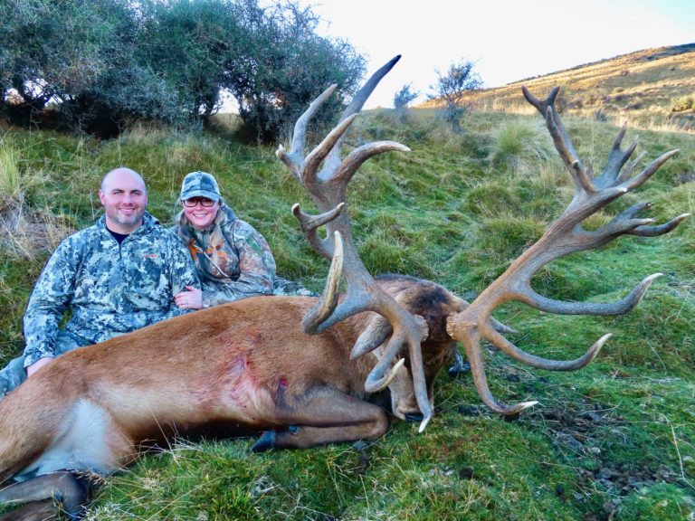 New Zealand red stag hunting trophy, 410 inches