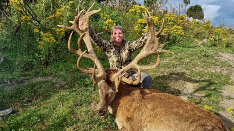 New Zealand red stag hunting trophy, 410 inches