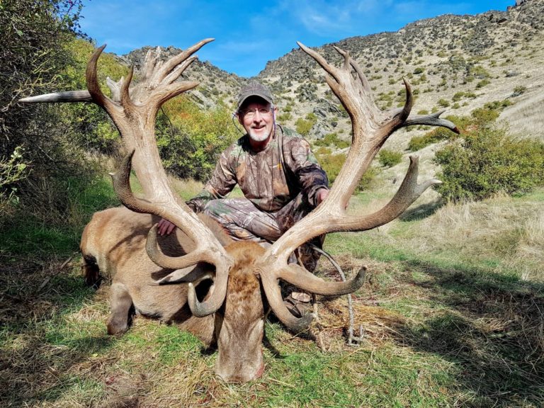 New Zealand red stag hunting trophy, 416 inches