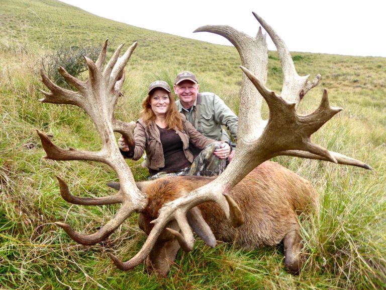 New Zealand red stag hunting trophy, 420 inches