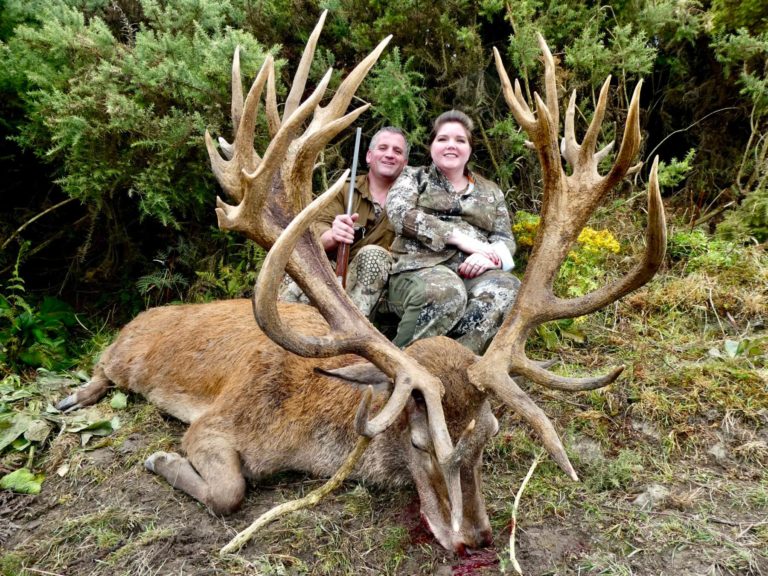 New Zealand red stag hunting trophy, 420 inches