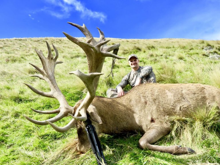New Zealand red stag hunting trophy, 423 inches