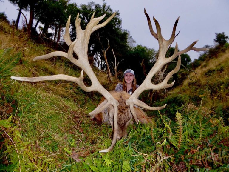 New Zealand red stag hunting trophy, 425 inches