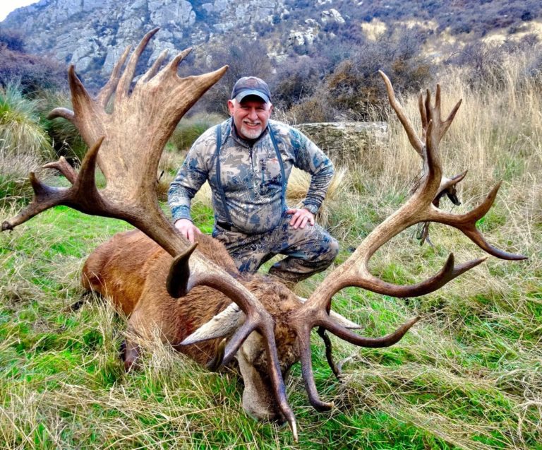 New Zealand red stag hunting trophy, 450 inches