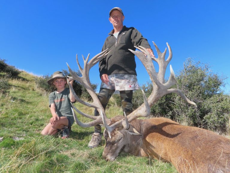 New Zealand red stag hunting trophy, 450 inches