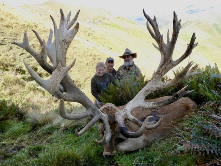 New Zealand monster red stag, 608 inches