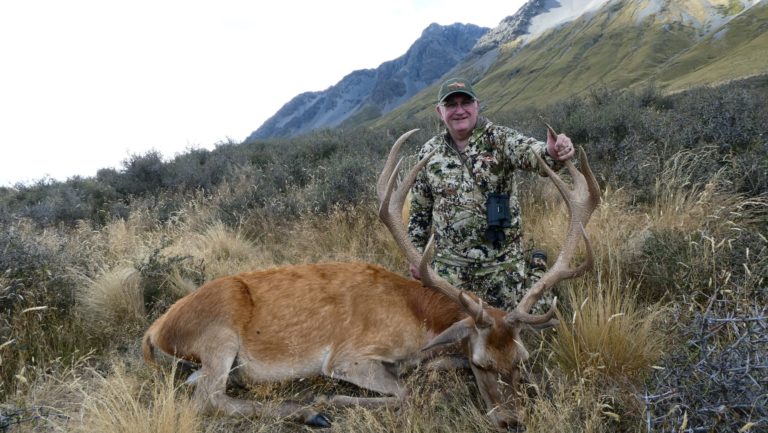 New Zealand free range red stag