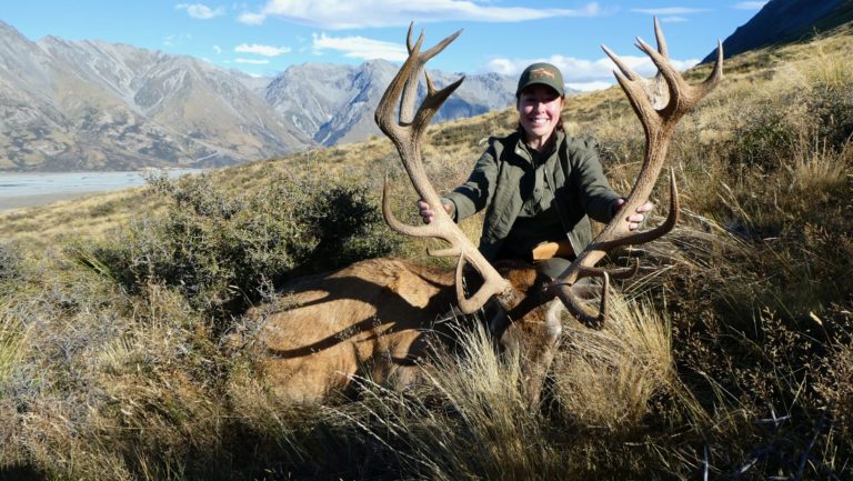 New Zealand free range red stag