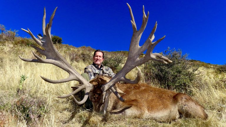 New Zealand red stag hunting trophy