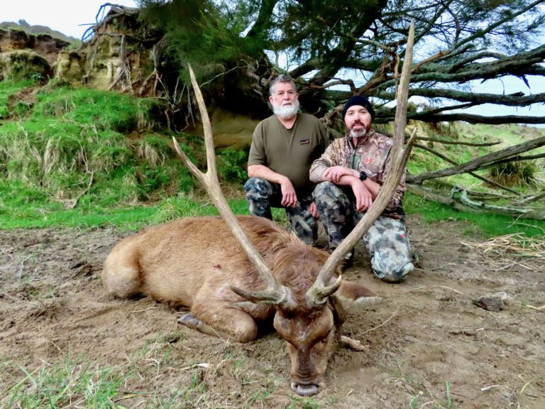 New Zealand rusa deer hunting trophy